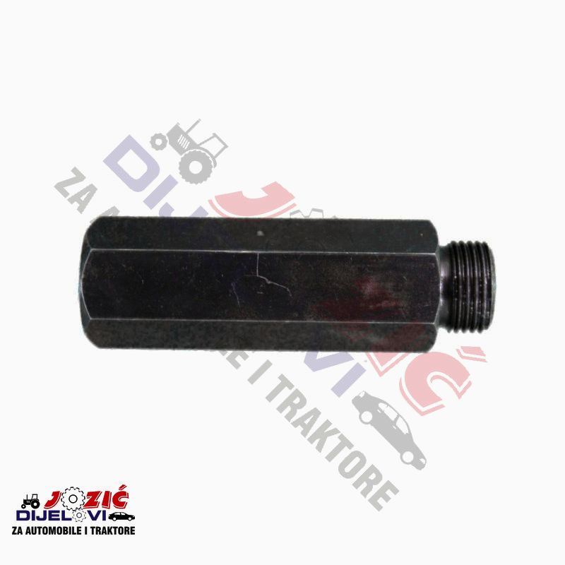 Daisy on the Ohoopee